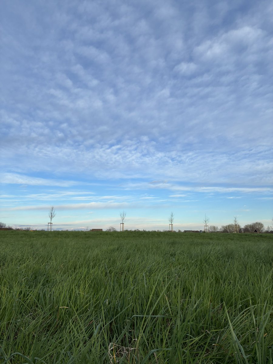 dan ✵ 4҉c tweet media