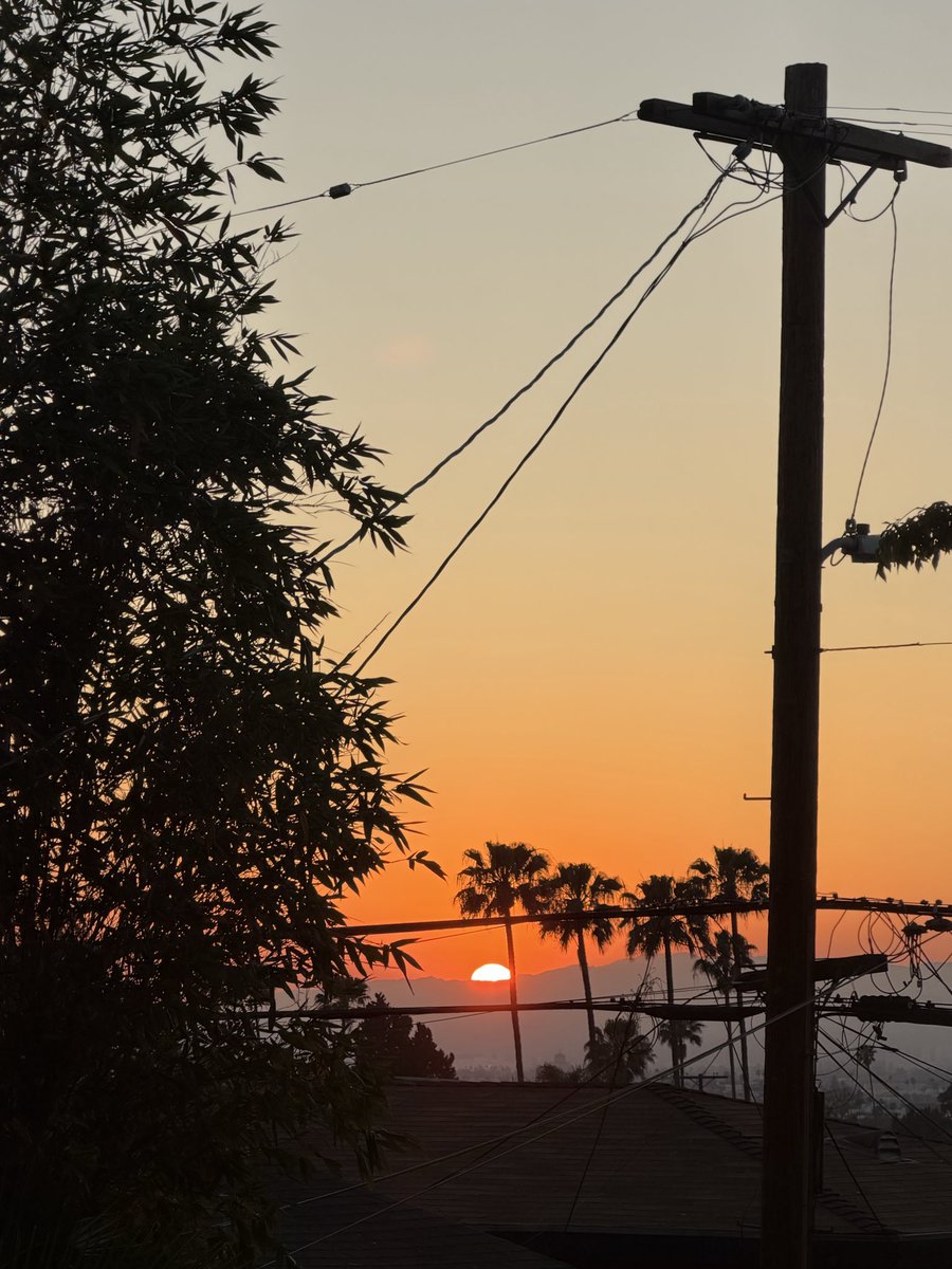 Miss Mineragua tweet media