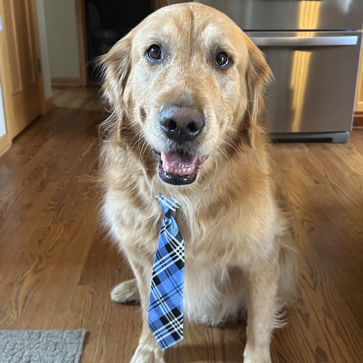 Interpro Translation Solutions tweet media