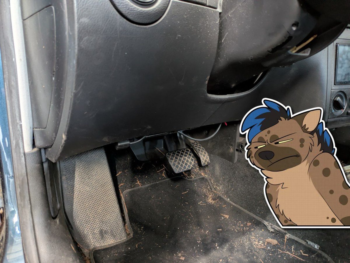 good hair and sex hope tweet media