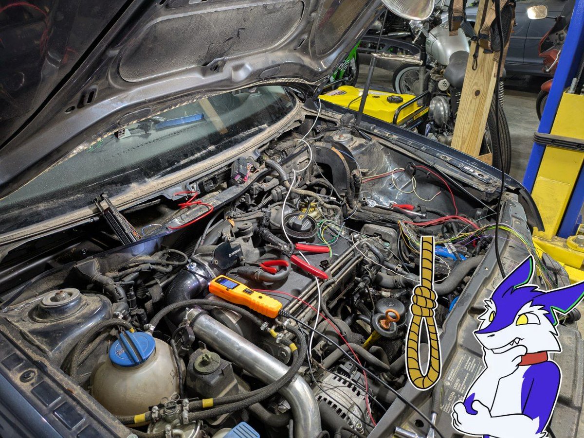 good hair and sex hope tweet media