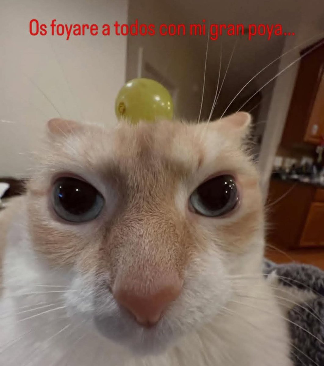 soy_hyce's tweet photo. @MomazosZenless Que se metan conmigo y mi bolsillo, pero con Billy NO https://t.co/r4doQqupKV