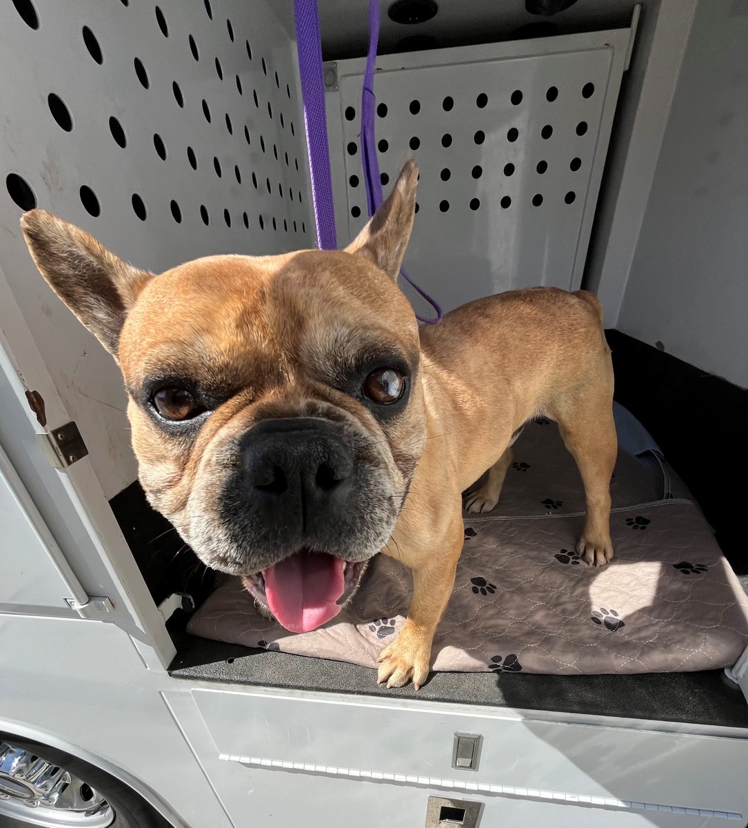 Santa Paula Police Department tweet media