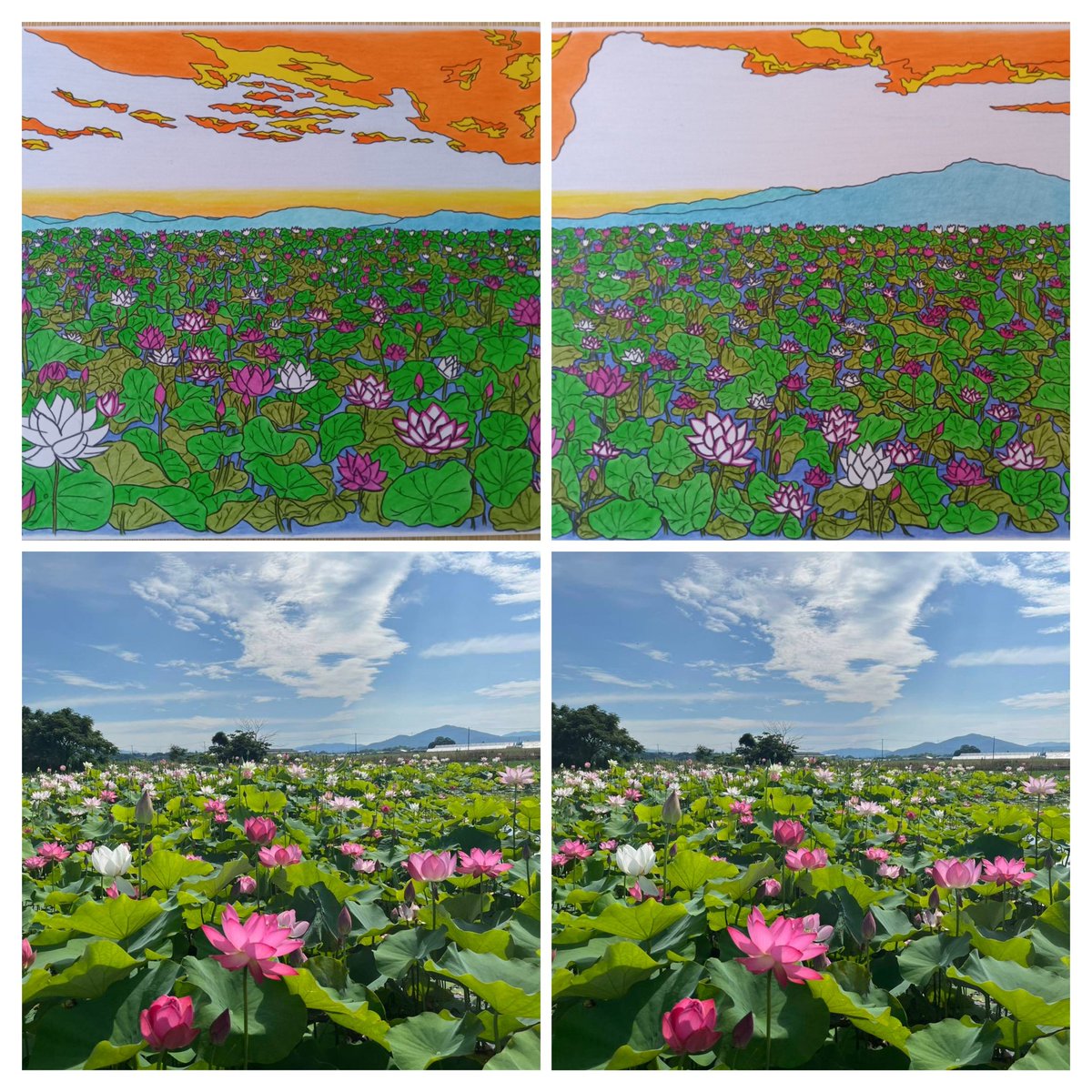 pencilmasuo's tweet photo. 豊川市篠田の蓮池を描きました。
横910mmのパノラマ作品です。
タイトル
「東雲（しののめ）の蓮池」
夜明け前、東の空がほのかに明るくなる時間。
静かな池に広がる蓮の葉と空気感を、色鉛筆で版画のように表現しました。
現在
JR豊川駅東西自由通路ギャラリーに展示しています☺ https://t.co/J7IwphJySY