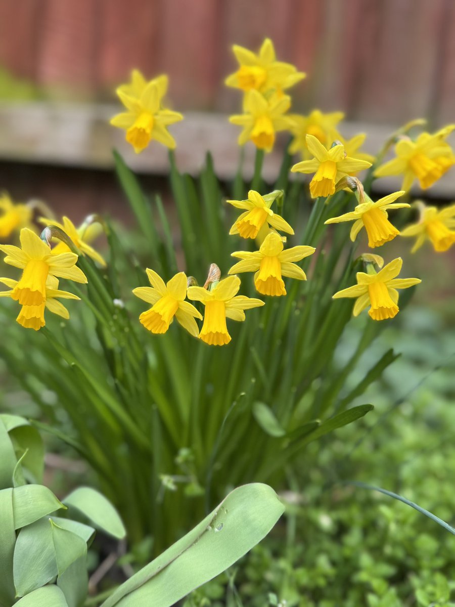 Rajesh Rathod tweet media