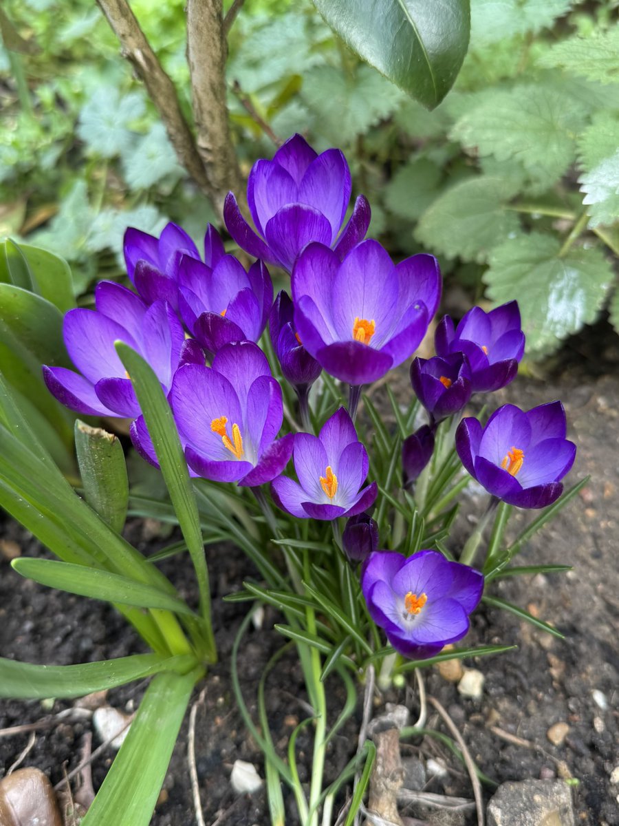 Rajesh Rathod tweet media