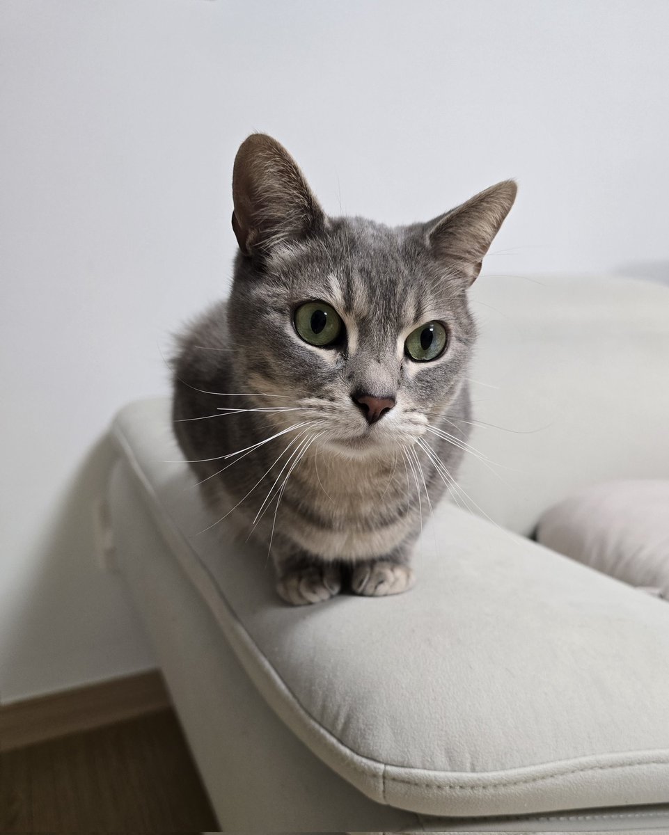 쪼리 굿모닝 😻
오늘도 행복한 하루 보내세요 💕