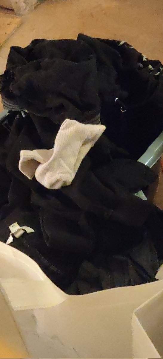 • Anna’s Adventures • tweet media