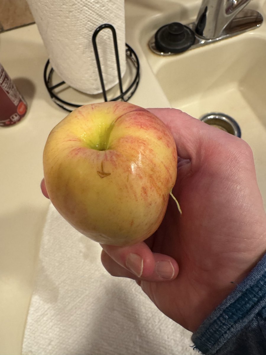 Matt Smith tweet media