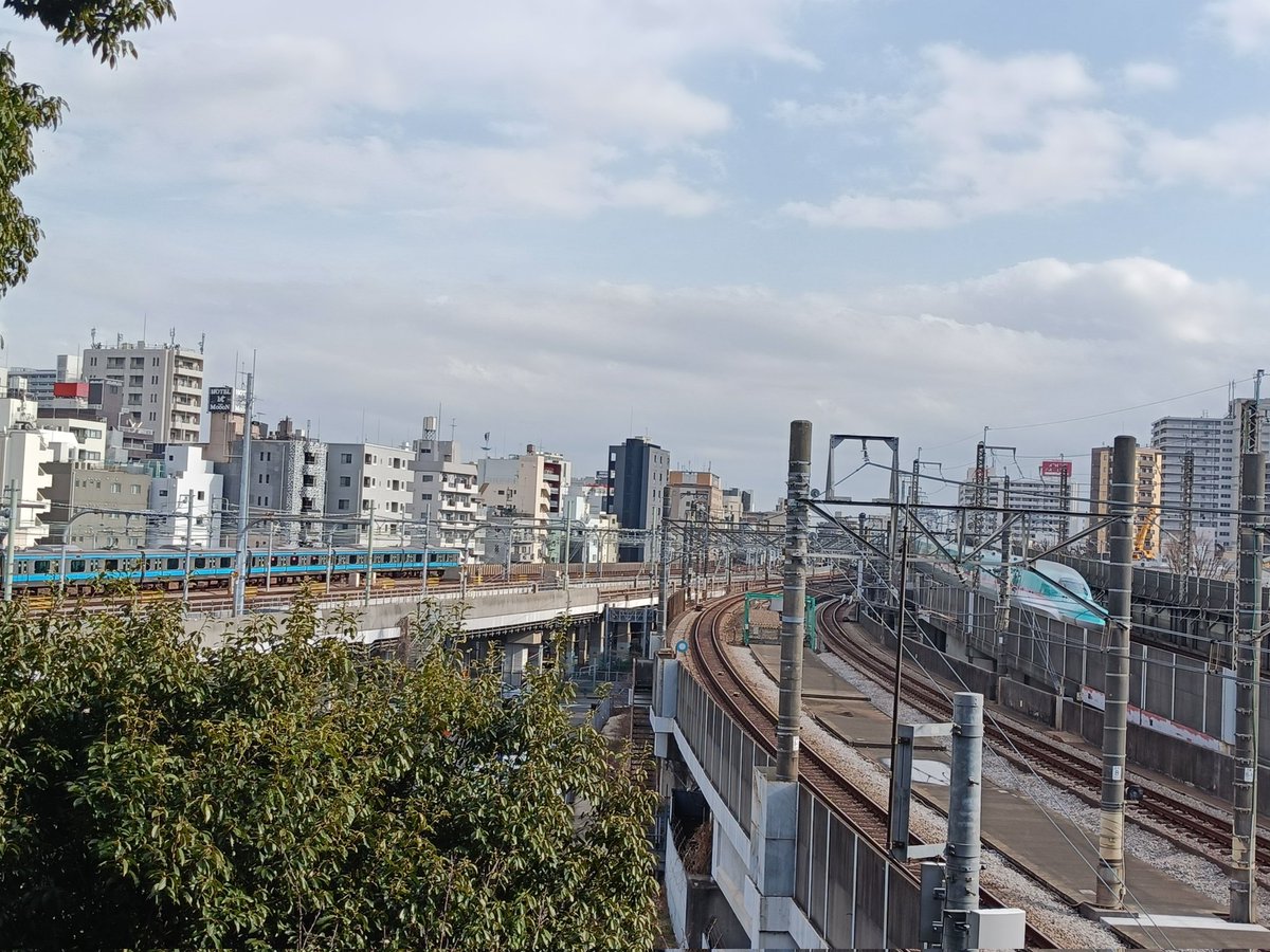 ソナタ14 tweet media