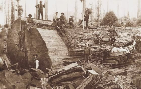 MoundLore tweet media