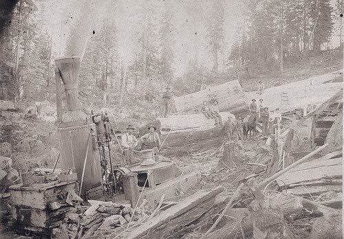 MoundLore tweet media