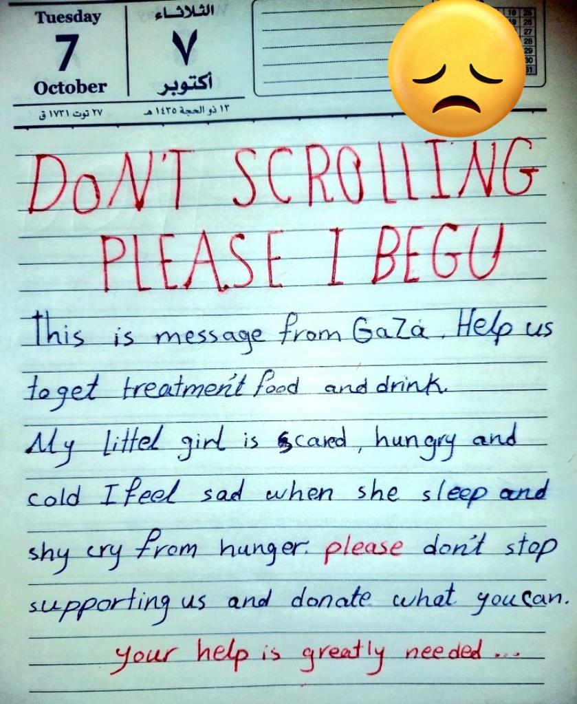 🍉*Fadi - Gaza Aid Request🍉 tweet media
