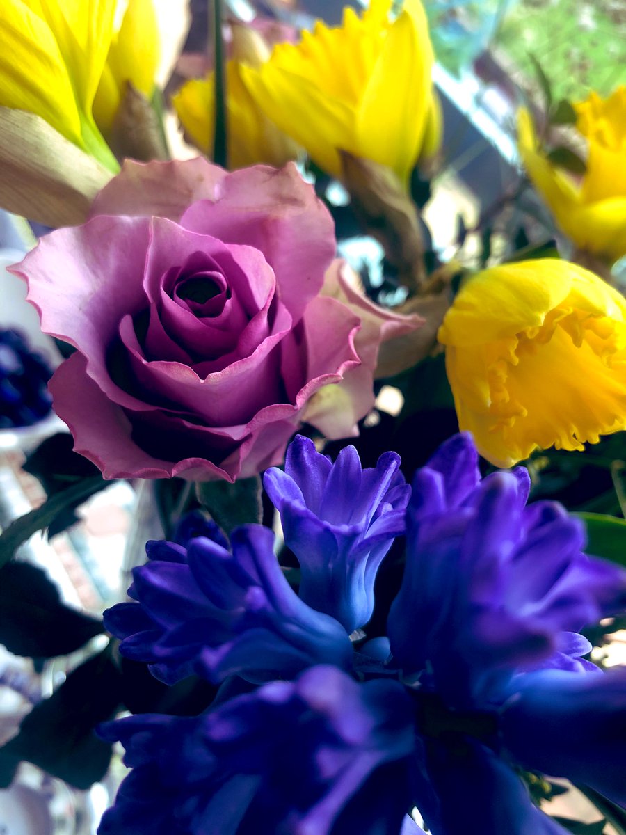 🌼💫🌼March is here and the 2026 golf season has started for us at <a href="/jdvsport/">JdV Sport</a> it’s been a very busy time, read all about it in our latest Spring March Newsletter coming out very soon 🔜 🗞️ 🌼💫🌼🏌️‍♂️🏌️‍♀️