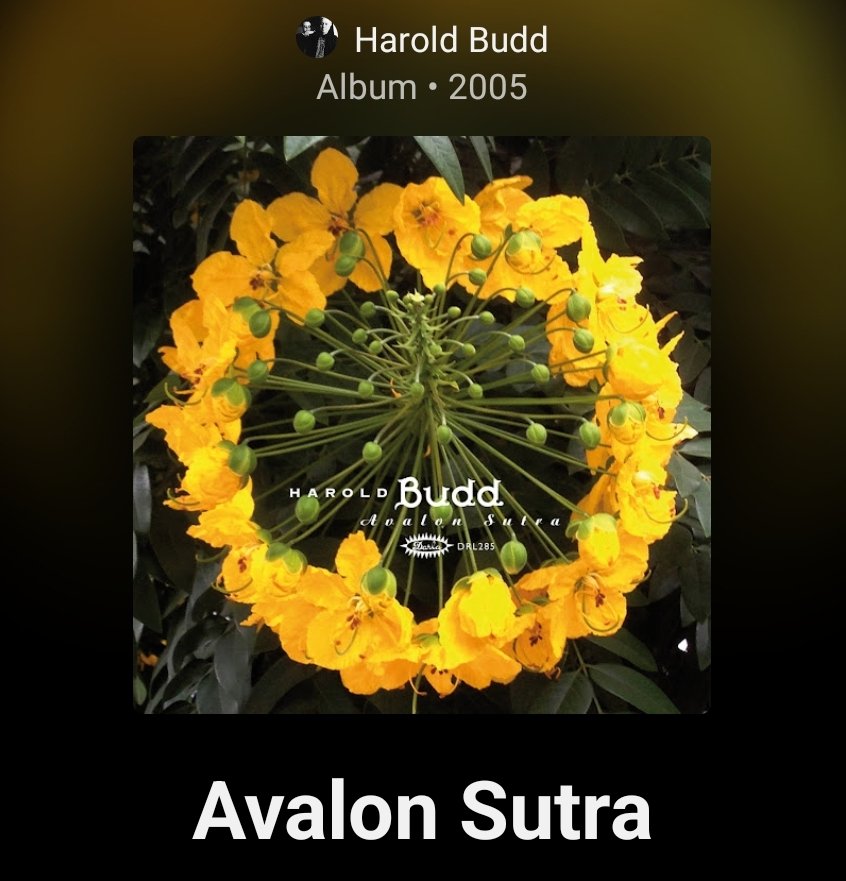 Ella Dorn 唐棠 tweet media