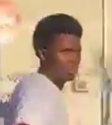 🐙 MrVisa1000 🐸 tweet media