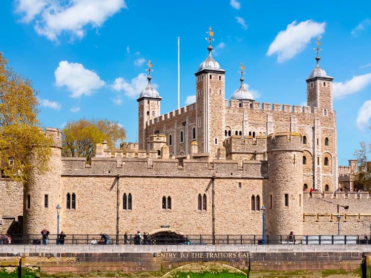 Past Unmasked tweet media