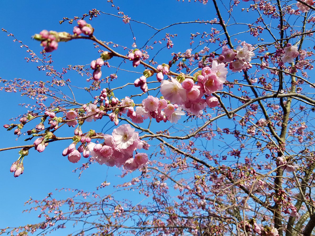 Rajesh Rathod tweet media