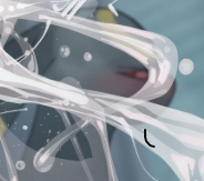 Minty Breath tweet media