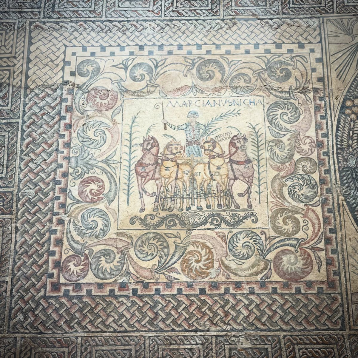 NExSpain's tweet photo. Champion Driver and Horse.  Formula 1. Roman times. Marcianus, revered star athlete, also his horse, Iniuminator, one of the smartest horses ever, racing inside position, where intelligence won at the circus races. #Romanhistory #Romanmosaic #SpainTour #privatetour #historytour https://t.co/XDfNKQnIco
