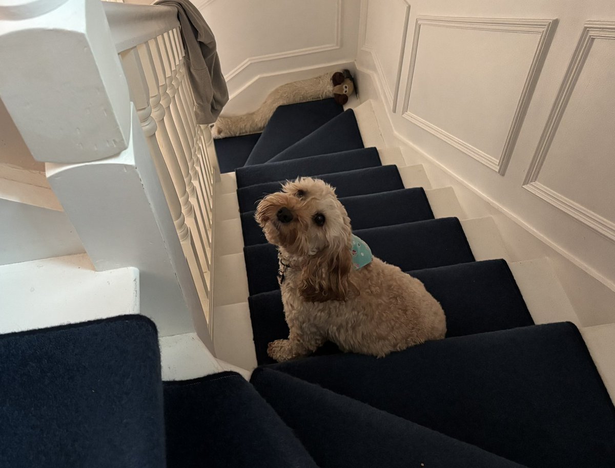 Sir Kev’s Gang tweet media