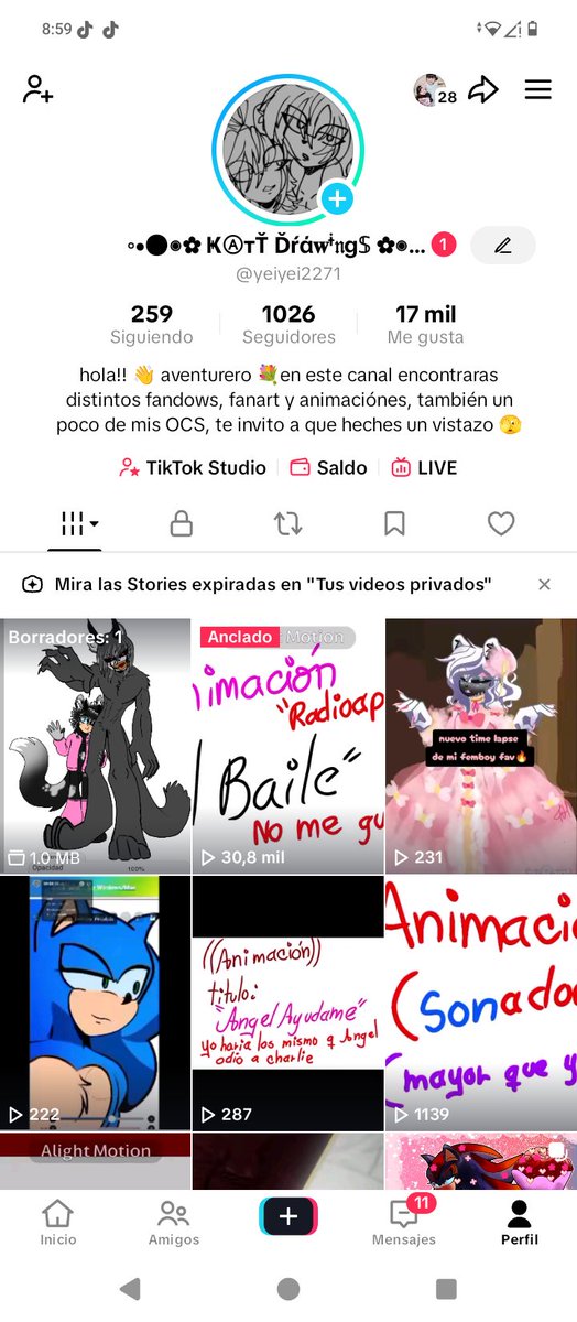 Si desean seguirme en tiktok así estoy en tiktok para ver más animaciones cortas sonadow jeje :3 🌹✨