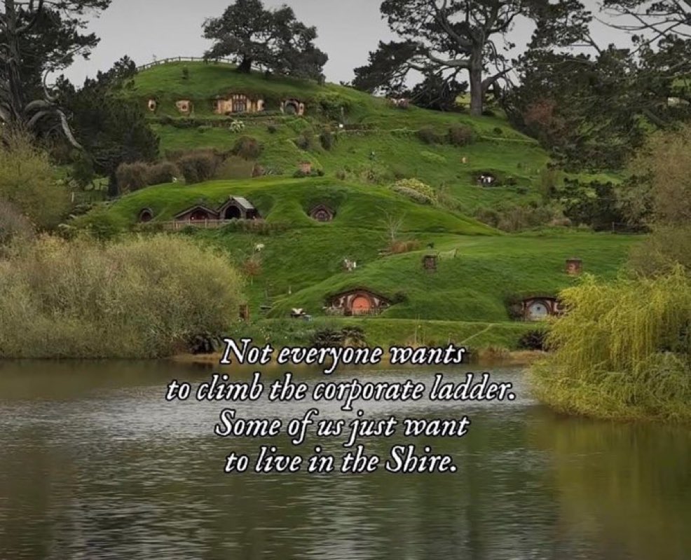 TheLOTRMemes's tweet image. Would you?