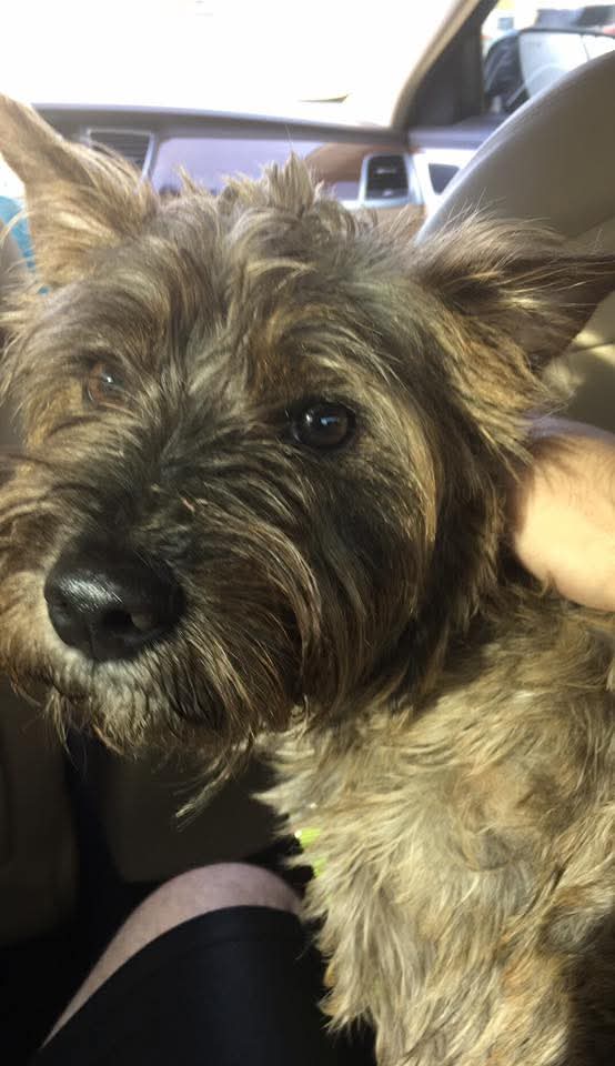 No Flo Papayon tweet media