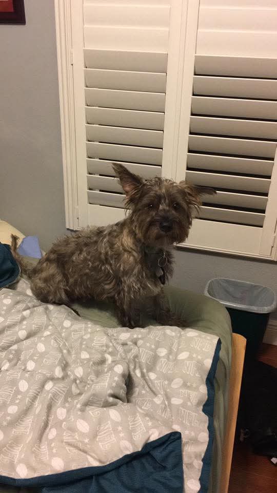 No Flo Papayon tweet media