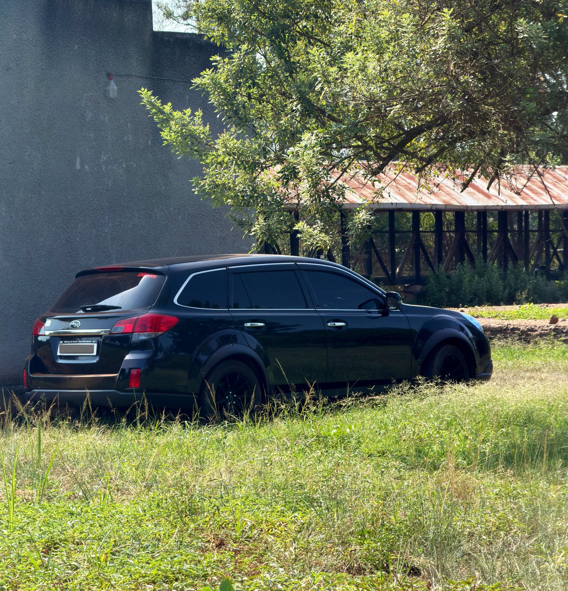 Taby Tesi tweet media