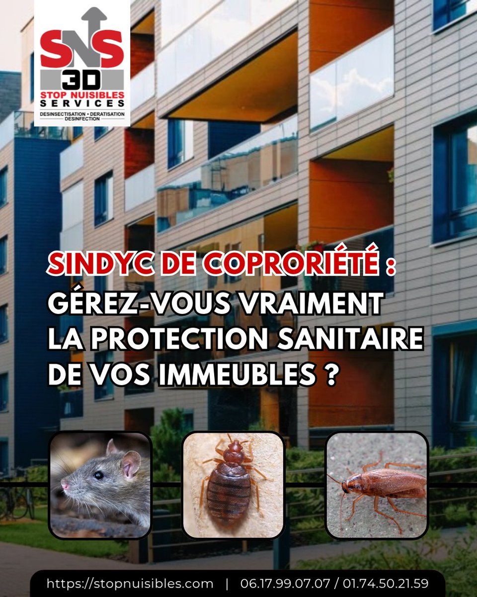 3dSns's tweet photo. Syndics : gérez-vous vraiment la protection sanitaire de vos immeubles ?
Anticipez avec SNS 3D – Stop Nuisibles.

🌐 https://t.co/kn25DasLft
📧 contact@stopnuisibles.com
📞 06 17 99 07 07 / 01 74 50 21 59 https://t.co/JBbAOLaoil