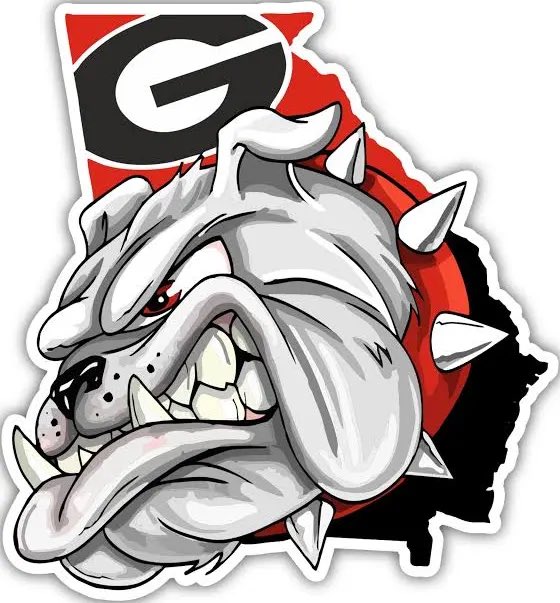 The Real Chase Cone tweet media