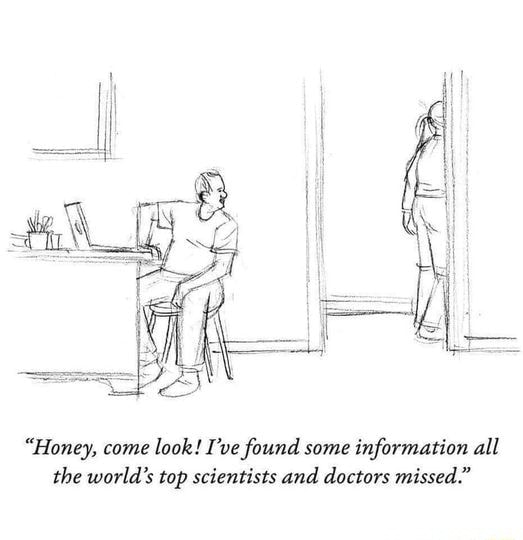 Gus Frerotte Fan Club tweet media