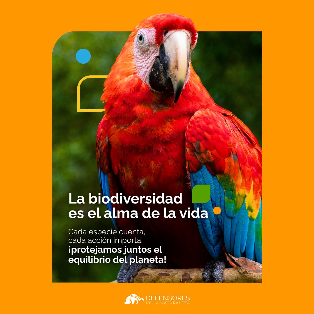 Defensores de la Naturaleza tweet media