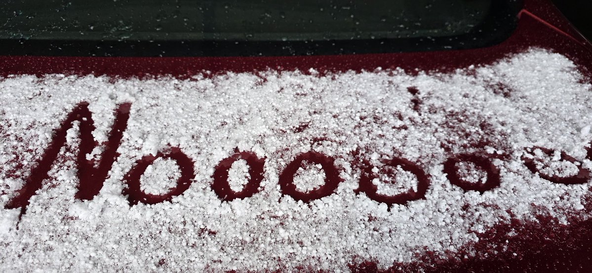 Eric Willoughby tweet media