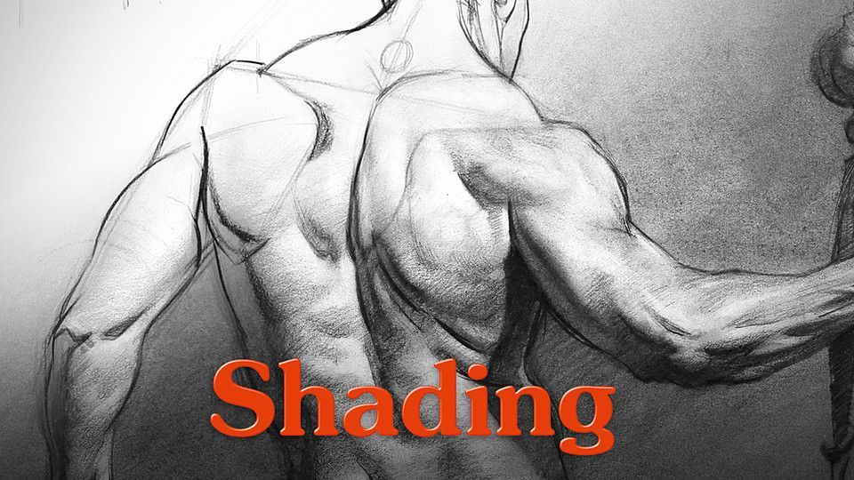 Cubebrush's tweet image. Turn flat sketches into sculptural realism.
Proko’s tutorial teaches you how to shape light, shadow, core tone, halftones, and everything that brings depth to your art. Master every element of light on form. buff.ly/W0Ruq7C

#digitalart #arttutorial #tutorial