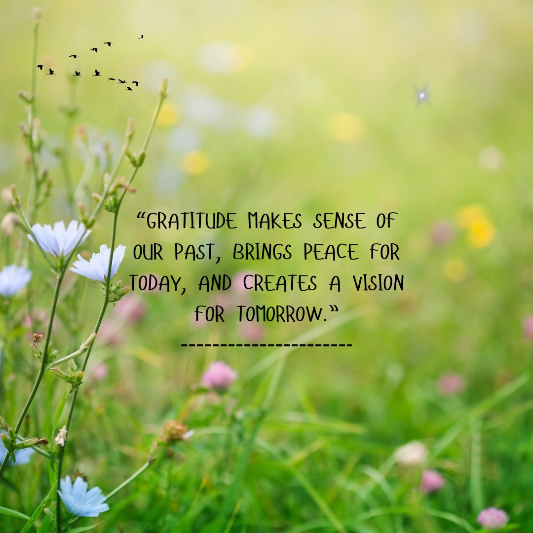 Gratitude has a powerful way of grounding us while inspiring what’s next. In real estate—and in life—it’s often the appreciation for where we are that helps us clearly see where we want to go. 🏡
#Gratitude #GratefulHeart #MindsetMatters #HomeAndHeart #AtlantaRealEstate