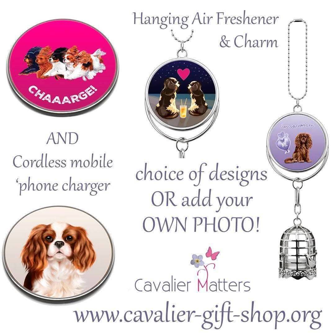 Cavalier Matters tweet media