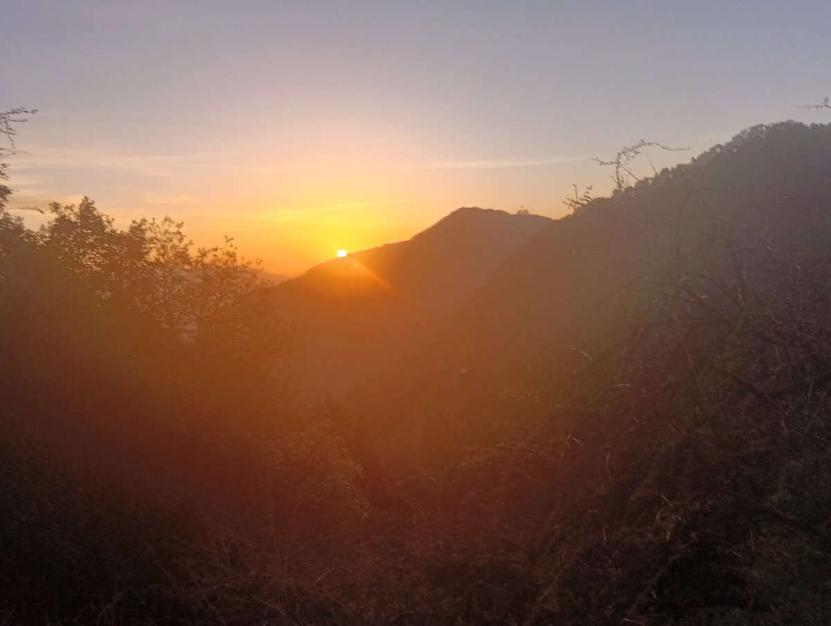 Reeta Pande tweet media