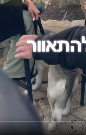 Lord Wotton tweet media