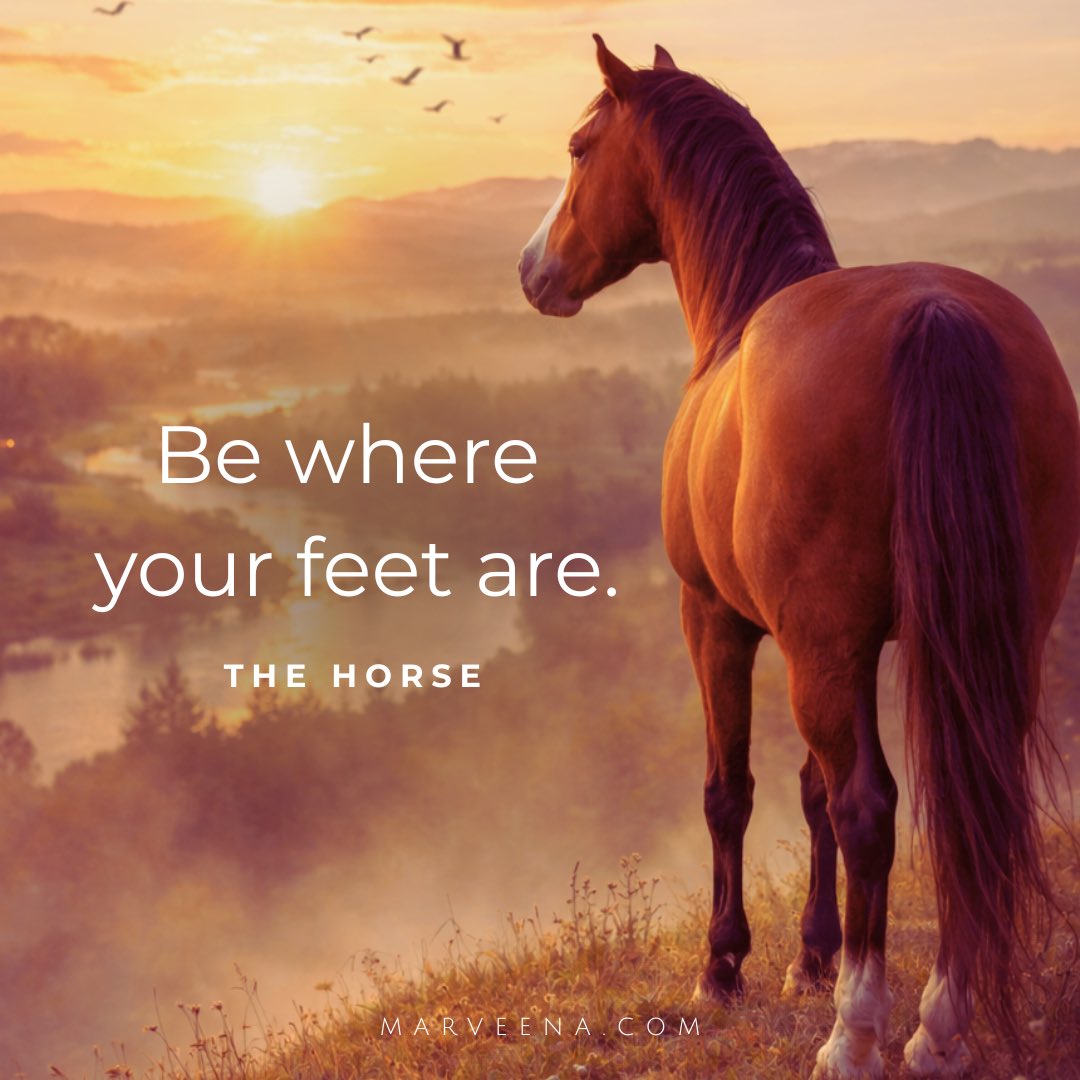 You will be changed by what happens to you -- both the good and the bad. It's a good time to reflect on who you are being in response to those events to see if you're in alignment with what you really want out of life.
💜🐎💜