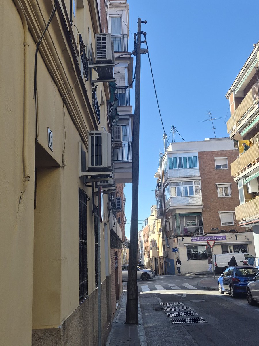 CARMEN L. tweet media