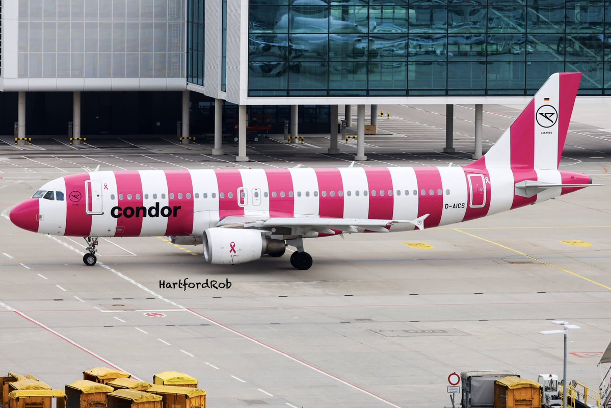 HartfordRob tweet media