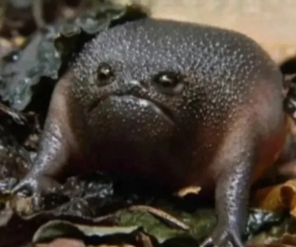 Babies are sleeping

Ladies
Two days
After shavin.. 🫣😂

Look dangerous but attractive when you  in..😋