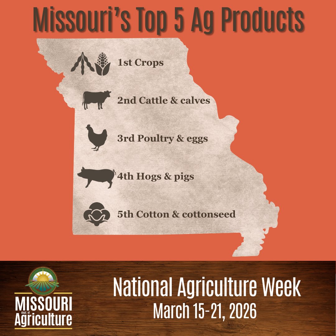 MoAgriculture's tweet image. Missouri's top 5 agricultural commodities include both crops and livestock, showing our diversity!

#NationalAgWeek2026 #MOAg