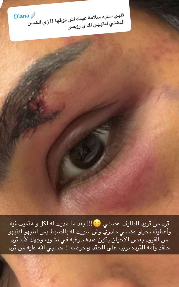 مايونيزه tweet media