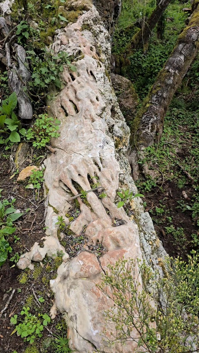 Aaron Hynes - Megalithic Mystery tweet media