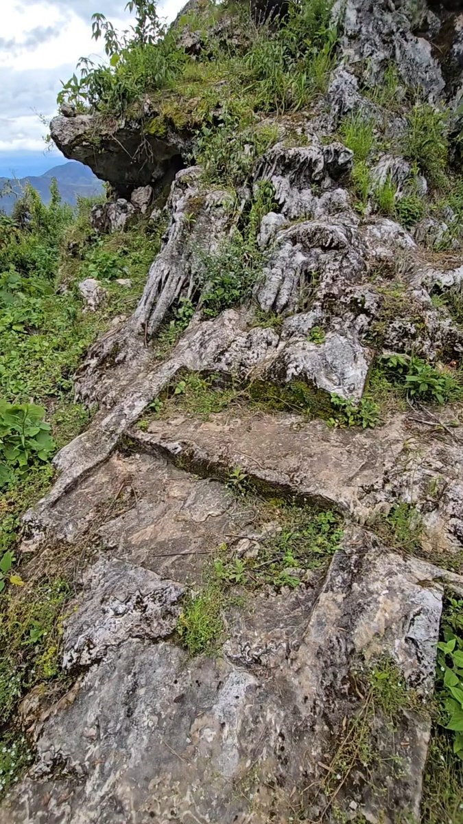 Aaron Hynes - Megalithic Mystery tweet media