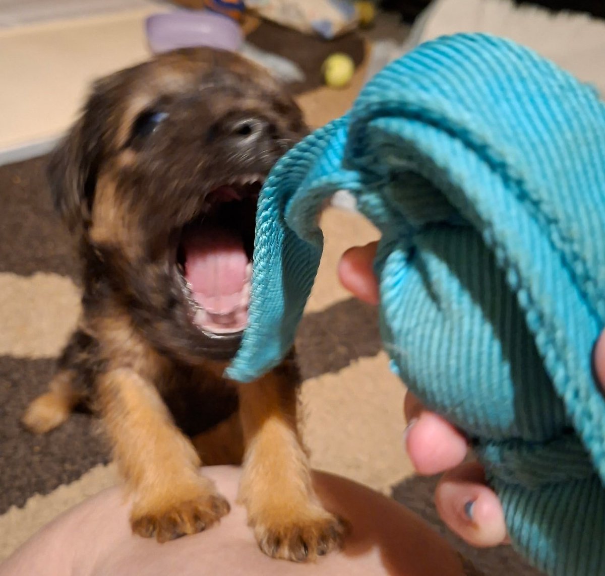 Reginald Barkley - sekretary of da social club! tweet media