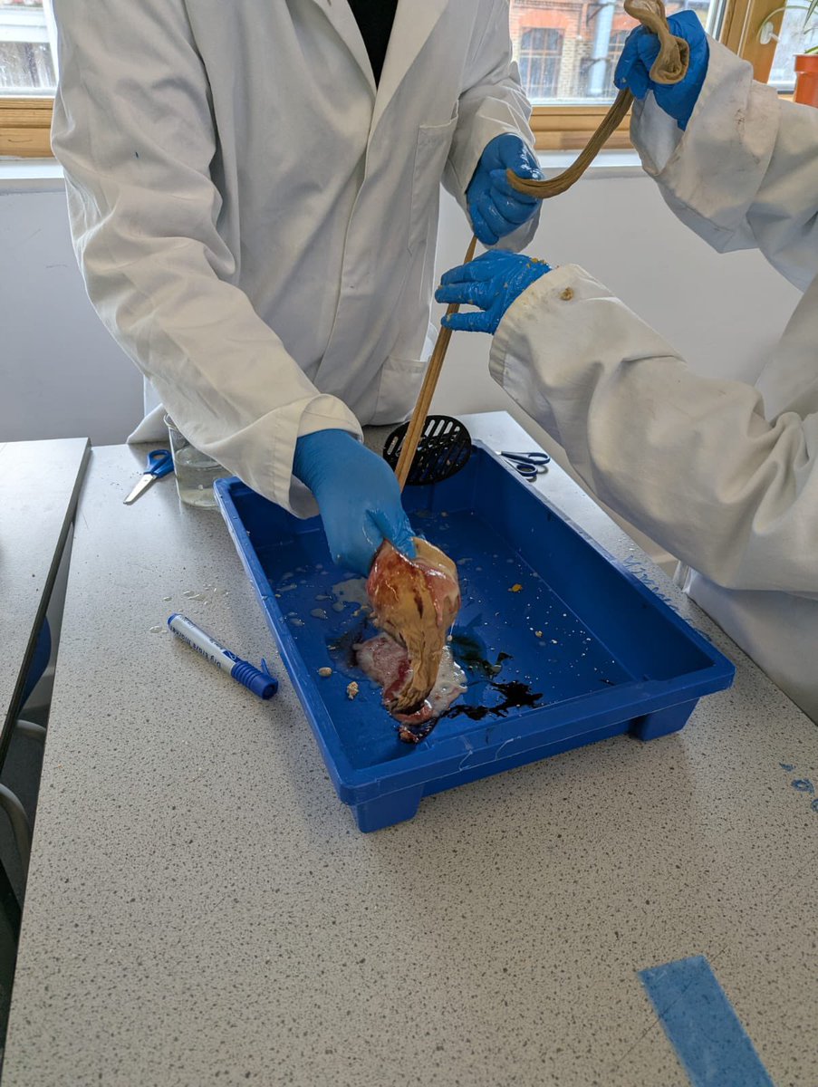 Haringey Learning Partnership tweet media